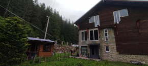 Шепіт Лісу, Yaremche